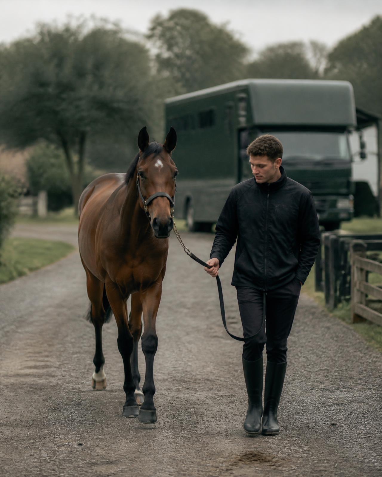 A young horse led along a gravel path beside a horse transport lorry